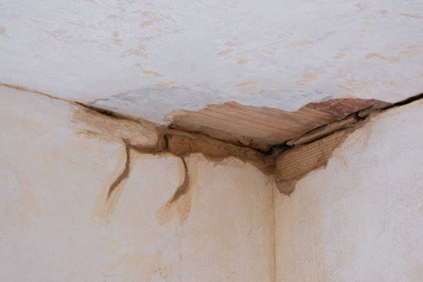 Best Flooded house restoration  in Reedsburg, WI