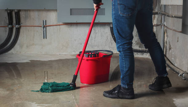 Best Ceiling water damage repair  in Reedsburg, WI