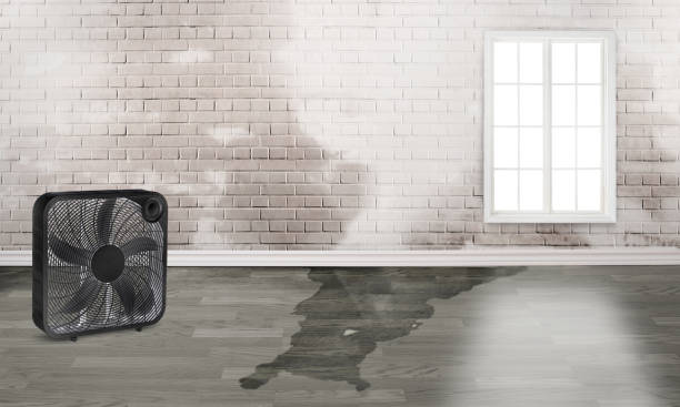 Best Water damage restoration specialists  in Reedsburg, WI