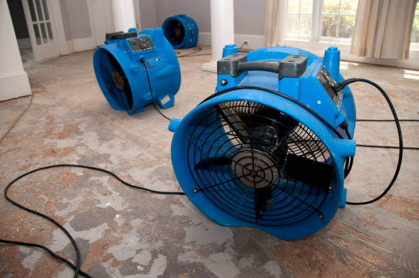 Best Flood damage cleanup  in Reedsburg, WI