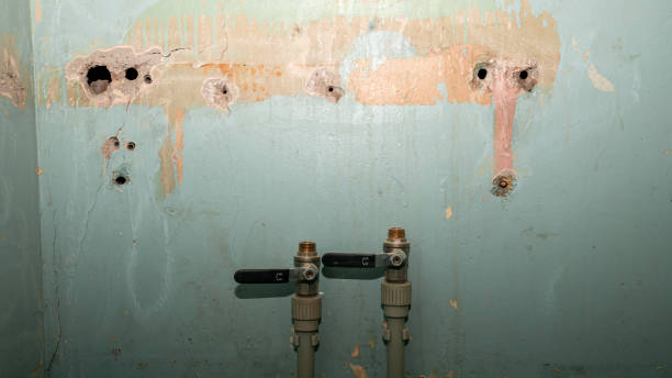 Best Mold removal after water damage  in Reedsburg, WI