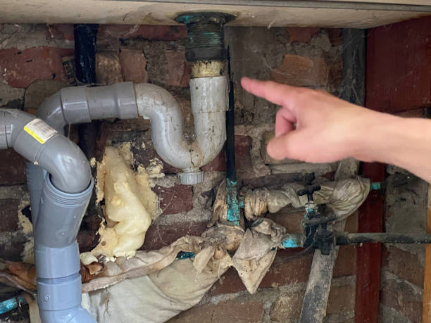 Best Sewage cleanup and water damage restoration  in Reedsburg, WI