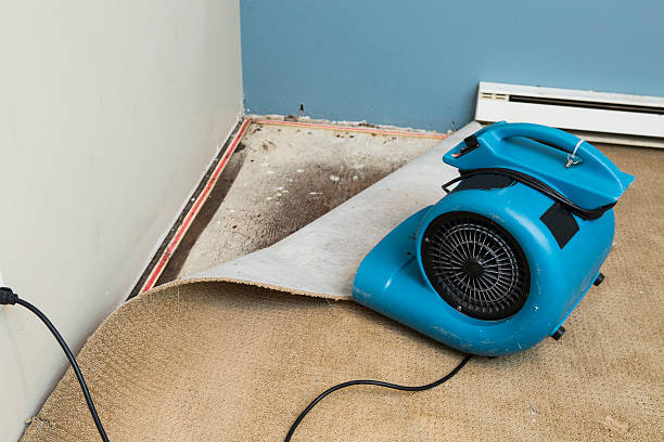 Best Water damage restoration near me  in Reedsburg, WI